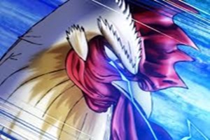 Niwatori Fighter